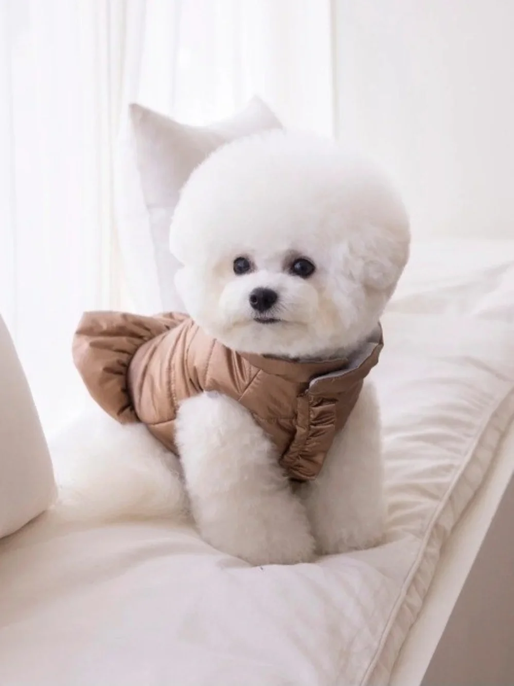 Metallic Bronze Ruffle Dog Puffer Jacket Dress